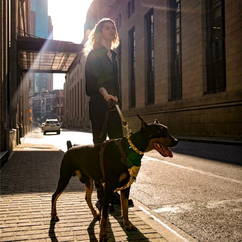 Дизайнерская нагрудная шлейка для собак с блестками, светящаяся большая шлейка для собак, роскошный ошейник для собак, взрывозащищенная шлейка с пуншем, аксессуары для собак