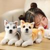 Simulation Plush Dogs Toy Look Alike Husky Dalmatians Akita Miguel Sharpie Puppy Dolls Lovely Stuffed Toys Kids Birthday Gift