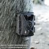 SANWA SUPPLY Trail Camera with Continuous Recording Function CMS-SC07BK