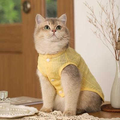 Котёнок кошачья одежда летняя тонкая легкая дышащая кукла британская короткошерстная золотой градиент весна и лето собака питомец одежда