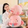 Cute Adorable Snot Fish Whale Plush Toy Pillow Gift Wholesale 30cm 0.25kg
