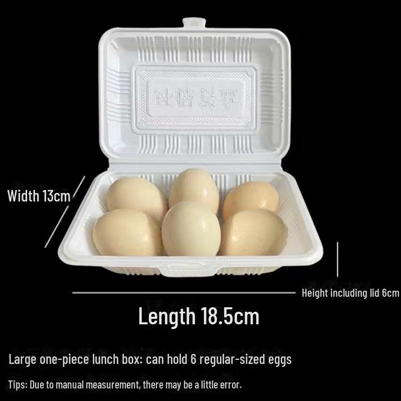 Одноразовый ланч-бокс для жареного мяса и фастфуда, барбекю-завтрака, жареного гуся и риса — бесплатная доставка