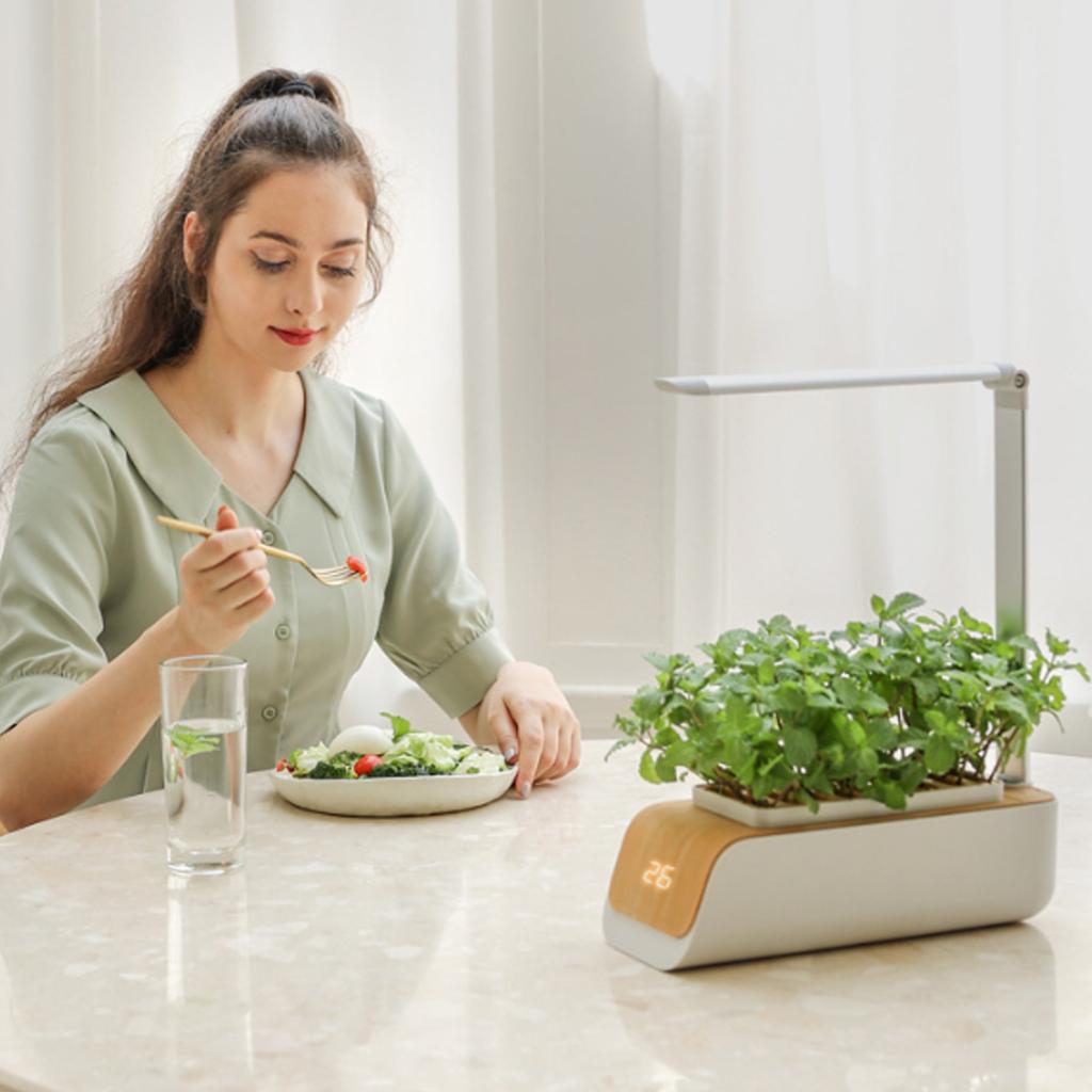 Интеллектуальная комнатная гидропонная система для садоводства с регулируемым светодиодным светом для выращивания овощей, трав, почвенных и водных растений