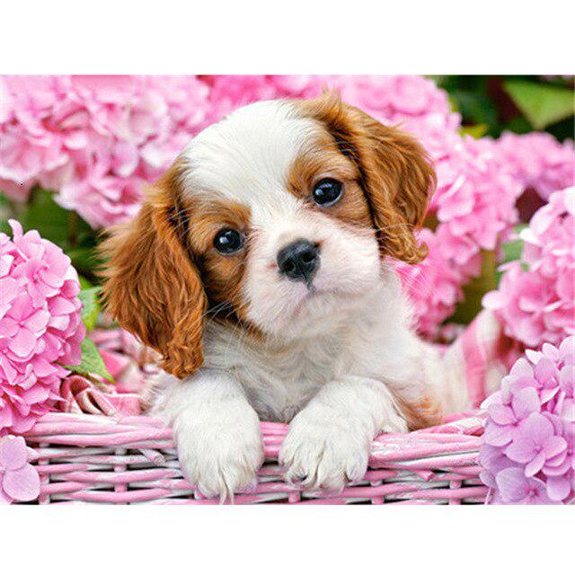 Собака DIY 5D алмазная живопись полная круглая дрель мультфильм животное Алмазная вышивка набор для вышивки крестом горный хрусталь мозаичная Наклейка на стену