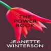 The Powerbook by Jeanette Winterson Paperback Book 9780099598299