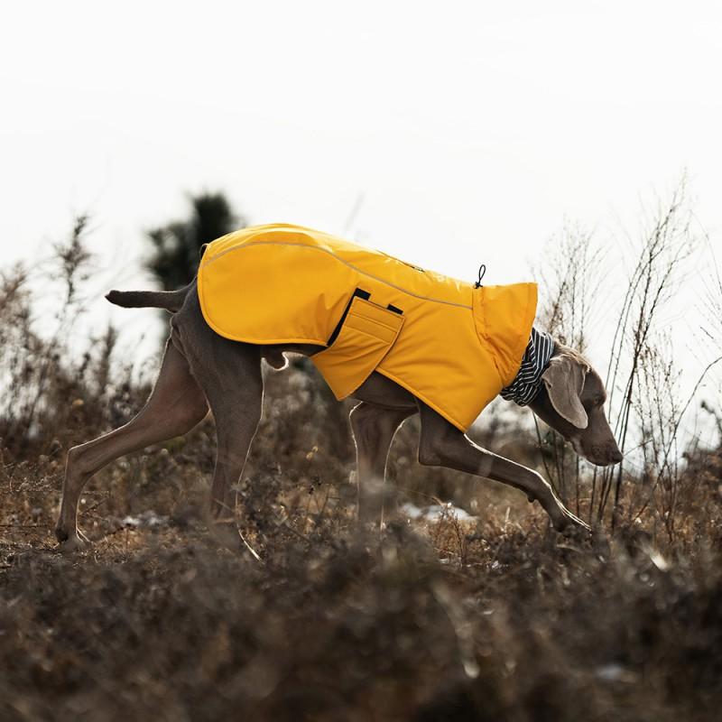 Waterproof Hooded Dog Winter Coat With Cotton Padding Warm Pet Jacket Small To Large Breeds