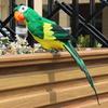 Multicolor Simulation Parrot 25cm/35cm/45cm/60cm Garden Decorative Bird  Lawn Bonsai