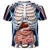 Organ Skeleton Diagram New 3D Digital Printed Round Neck Loose Men's T-shirt