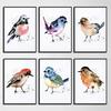 Британские Садовые Птицы Постеры и Принты Акварельные Птицы Холст Картина Настенное Искусство Картинки для Гостиной Домашний Декор Подарок
