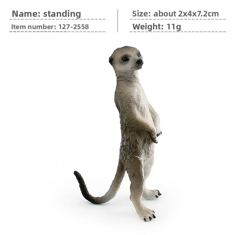 Realistic Pvc Mongoose Animal Model Toy For Kids Learning Decorations Gifts