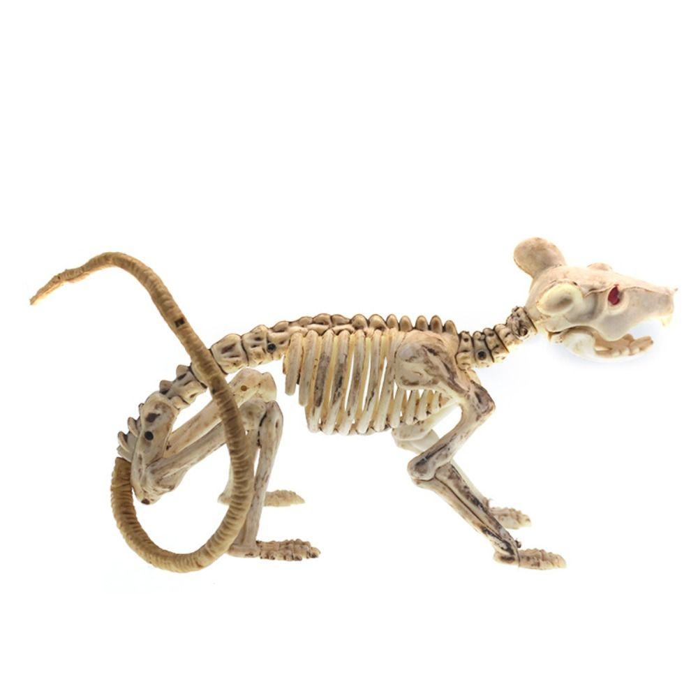 Skeleton Model Halloween Animal Skeleton Bat Mouse Lizard Scorpion Halloween Bats Skeleton Home