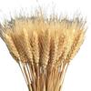 100Pcs Artificial Wheat Ear with Stem Realistic Non-withering No Watering Wedding Photo Props Indoor Outdoor Home Office Garden Adult Sex Wear KTY