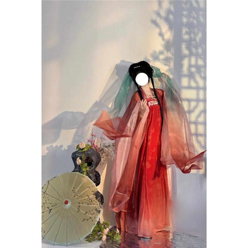 Китайский стиль династии Тан, платье HE ZI, женский костюм Hanfu, повседневный костюм с вышивкой