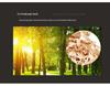 A1 Double-Sided Glossy Inkjet Photo Paper - 160g, 200g, 300g