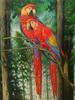5D Diamond Painting Parrot Diamond Embroidery Full Round Drill Kits Animal Mosaic Diy Home Decor Art