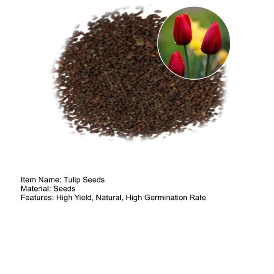 Men Boxer Underwear Mid-rise Elastic Waist U-Convex Shorts Briefs Patchwork Color