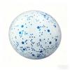 NeeDoh Snow Ball Crunch Sensory Squeeze Toy Stress Relief Snow Crunch Ball Fidget Toy Gift for Kids Adults