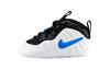 Nike Air Foamposite Pro 3D I 643145-102