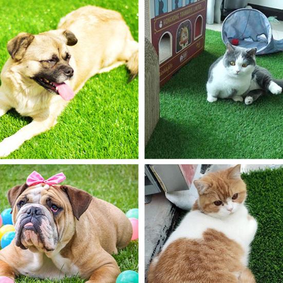 ПЭ Имитация газона Искусственная трава Ковер Для помещений и улицы Реалистичная трава с дренажными отверстиями Низкий уход Коврик для собачьей мочи Легкий