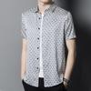 Men's Short-sleeved Lapel Comfortable Breathable Thin Shirt Men's Korean Style Trend