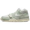 Air Trainer 1 Enamel Green Мужские кроссовки Sail Summit-White DX4462-300