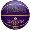 Wilson NBA Player Icon LeBron James Outdoor Ball, Unisex Purple Basketball