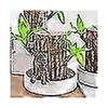 New Groot Green Plant Brazilian Wood Water Raise Lucky Wood Potted Small Tree People fast