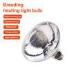 Утолщенная лампа обогрева для питомцев день-ночь для амфибий, змей, лампа обогрева, свет для рептилий, высококачественная лампа для разведения, инкубатор для питомцев, вылупление