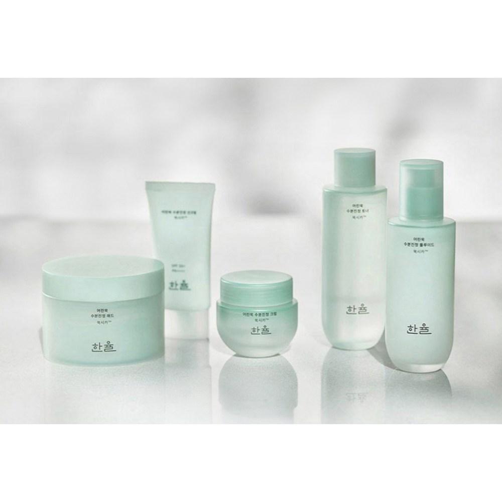 Hanyul Увлажняющий успокаивающий флюид Artemisia Moisture, 125 мл, 1 шт.