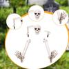 Halloween Skeleton Stakes , Realistic Lawn Decoration and Arms Legs Set for Outdoor