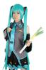 WELLERS Hatsune Miku Cosplay Costume Set with Green Size M Onion, Men's,