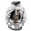 Sweatshirts 3d Printed Cat Lion Pattern Daily Hoodies Man Novelty Unisex Tops Comfortable Autumn Winter Long Sleeves Pullover