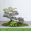 Bionic Fake Plants for Indoor Decoration: Living Room, Window Display, Under Stairs, Corner Arrangement.