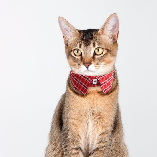 Ошейник для домашних животных с галстуком-бабочкой для кошек, регулируемый воротник в смокинге для кошек, маленьких собак, в британском стиле джентльмена, мягкие дышащие украшения для свадеб, дней рождения