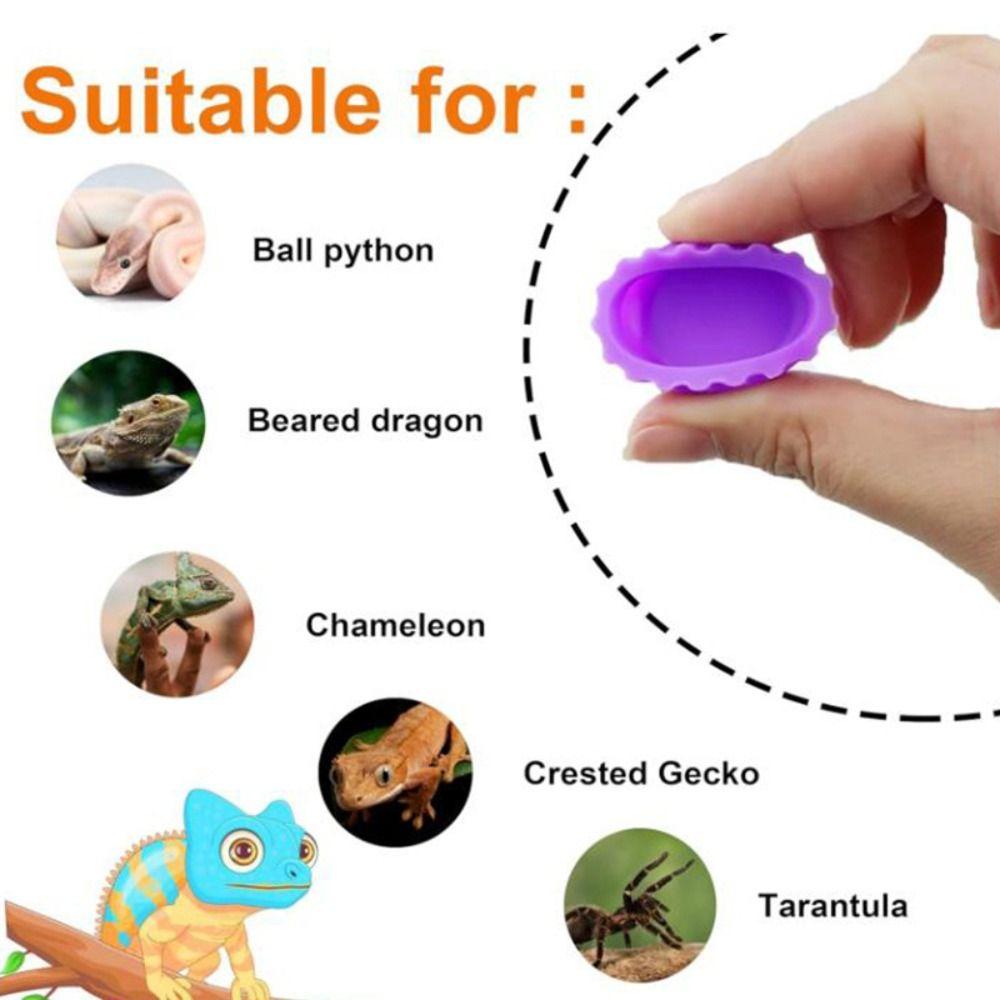 6pcs Silicone Feeding Dish Reusable Gecko Feeding Cups BPA Free Small Reptile Bowl Pet Supplies