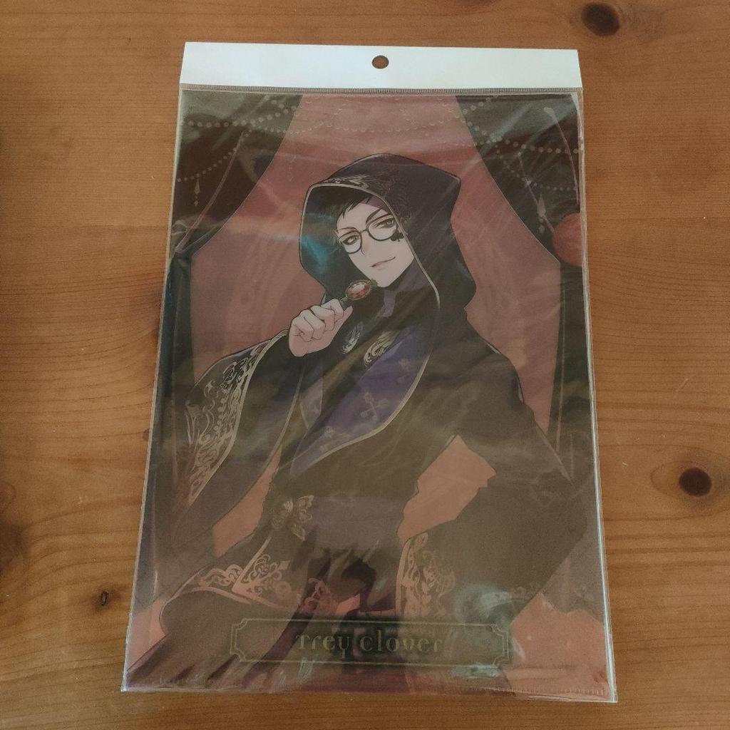 [Б/У] Twisted Wonderland Книга, которую должен прочитать префект, Прозрачный файл