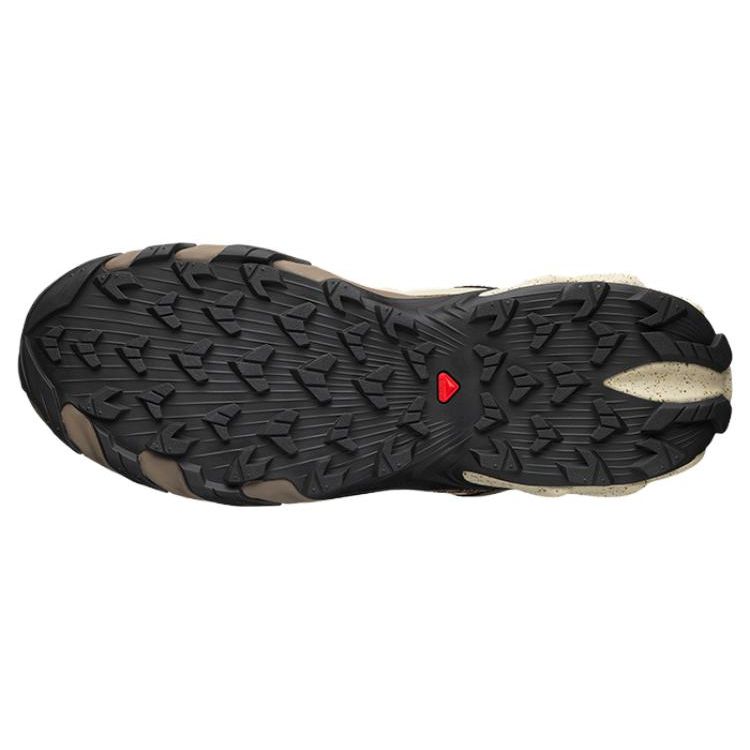 SALOMON Speedverse PRG Алоэ Wash Песчаная буря Унисекс Кроссовки Кремовый Миндальное молоко L47300100