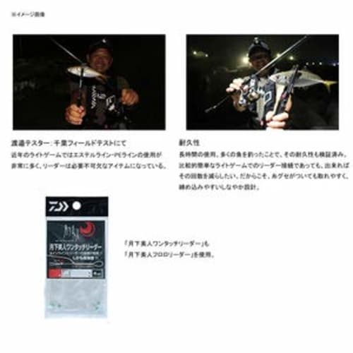 DAIWA Флюорокарбоновый поводок Gekkabijin Fluoro Leader 3lb. 30м Натуральный Прозрачный