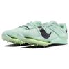 Nike Air Zoom Long Jump Elite Mint Foam Volt Unisex Sneakers Green Cave-Purple DR9924-300