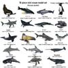 Ocean Wildlife Simulation Toy Set: Sea Turtle, Shark, Whale, Sea Lion, Tiger Shark, Manta Ray, Seal, Grouper.