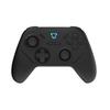 GRAPHT Omni Controller Hall Effect 1000Hz Polling Motion Fighting Games [Black] Sensor, Rate, Sensor, Gyro, Gamepad, PAD, FPS, TPS, RPG,