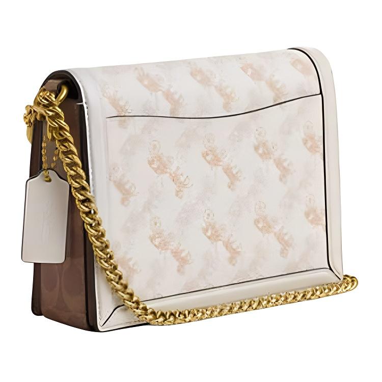 Coach Hutton 22 Horse And Carriage Pattern Print Faux Leather Crossbody Shoulder Bag Small Women bags Chalk-White CZ318-B4CAH