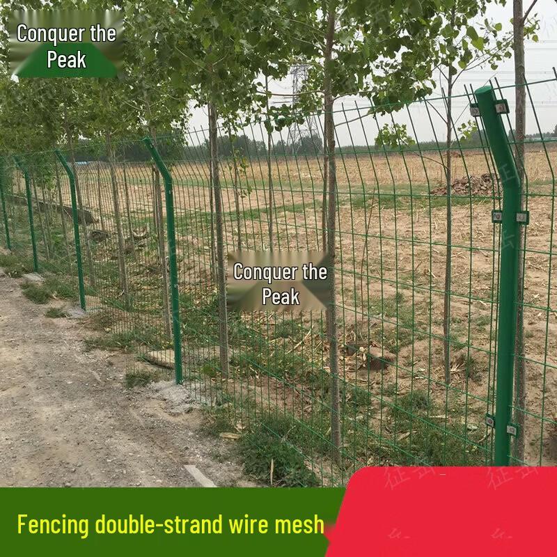 Zhengyue Double-Sided Wire Mesh Fence