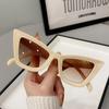 UV400 Leopard Print Eyewear Big Frame Wide Legs Sun Glasses Fashion Cat Eye Sunglasses  Travel