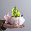 Мультяшная Золотая Рыбка Керамический Цветочный Горшок Ваза для Цветов Тропические Рыбки Растения Аксессуары Декор для Балкона Горшок для Растений Цветочный Горшок
