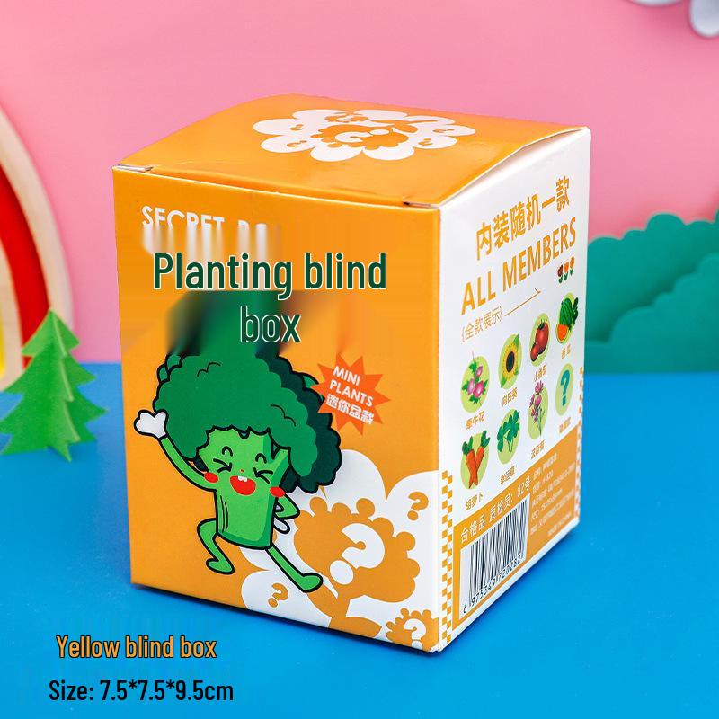 Surprise Box Potted Plant Gift for Kids - Perfect for School Rewards, Graduations, and Birthdays