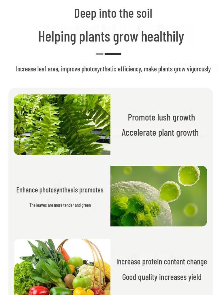 Boron-Enriched Granular Fertilizer: Boosts Flowering & Fruit Set for Trees, Slow-Release & Water-Soluble, Ideal for Vegetables, Melons, and Fruits