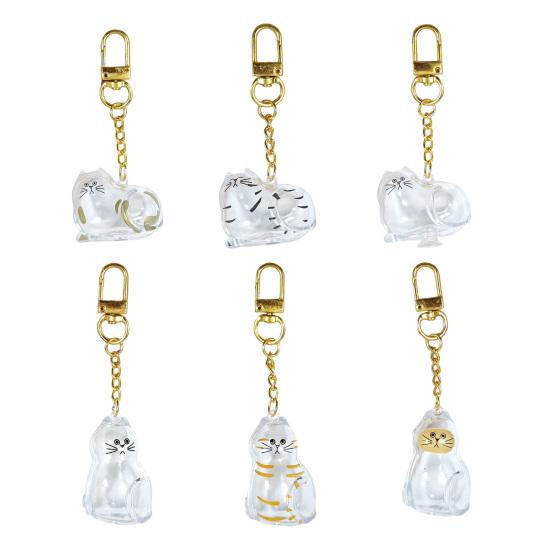 Коробка для хранения кошачьей шерсти Брелок Подвеска в память о кошке Прозрачная капсула для шерсти питомцев Портативный сувенир для питомца Аксессуары Задумчивый подарок для любителя питомцев