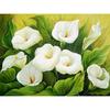 5D DIY Diamond Mosaic Flower Full Drill Diamond Painting Flower Rhinestone Cross Stitch Picture