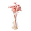 Mini Flower Vase Elegant Decoration Compact Doll House Mini Flower Bowl for Kids